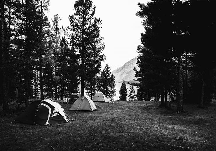 Search & Seasonal Intent camping PPC
