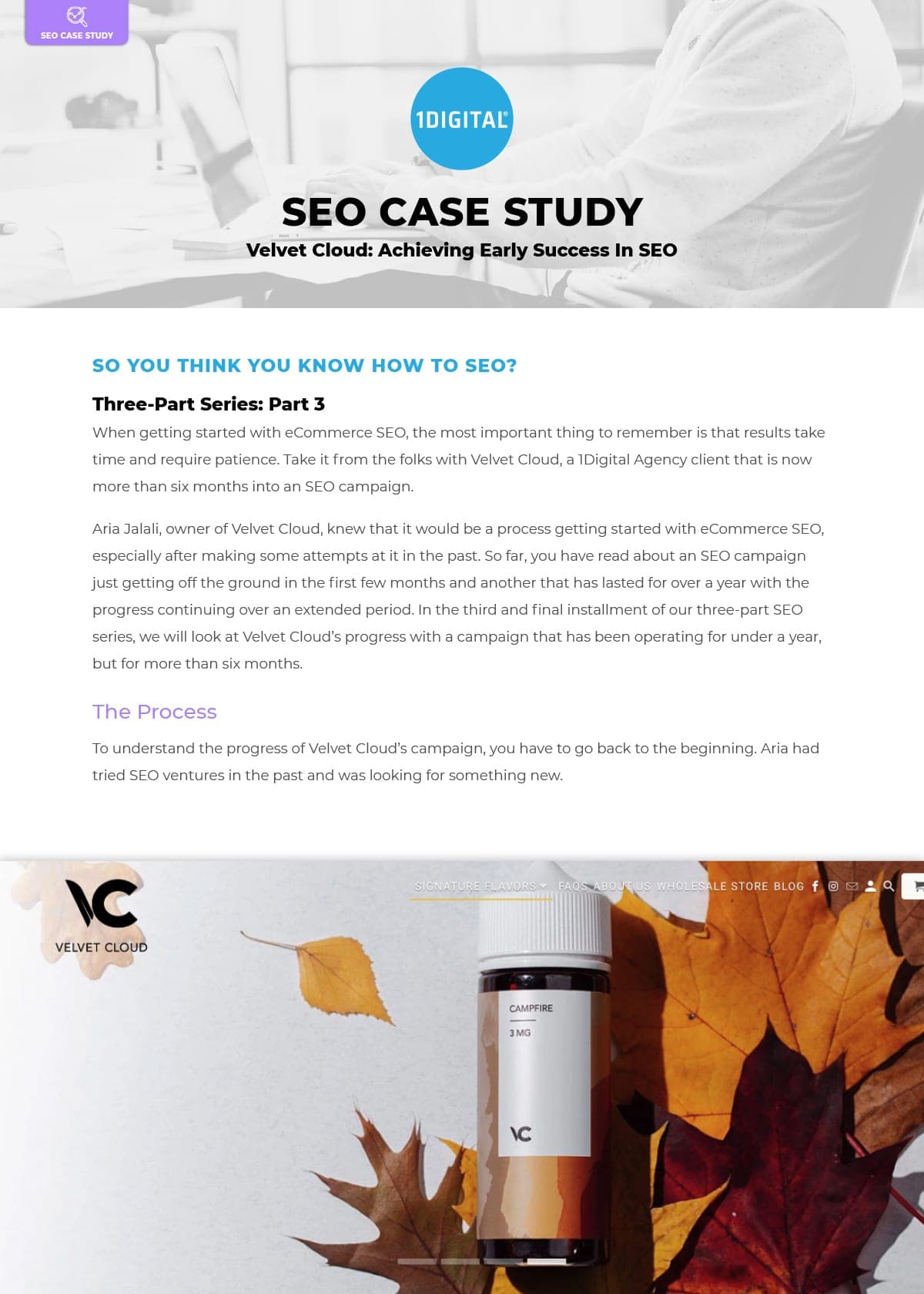 First page of the case study Velvet Cloud: Achieving Early Success In SEO