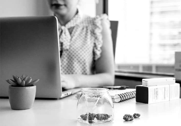 Cannabis brand SEO results