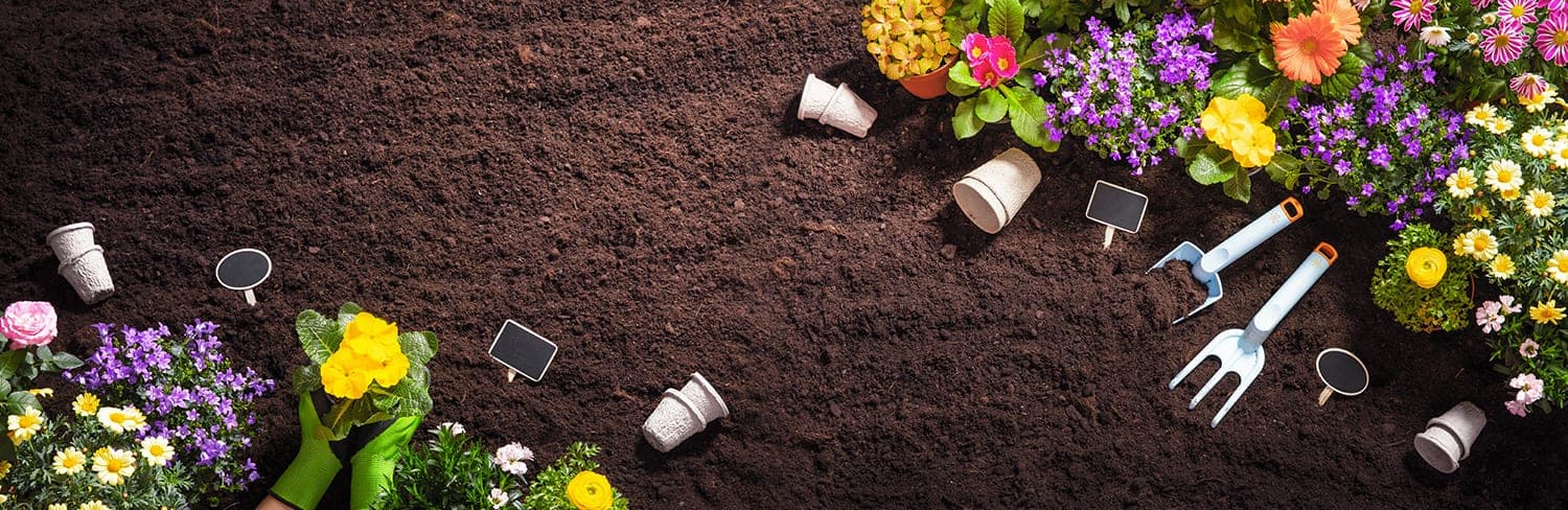 Gardening SEO Agency