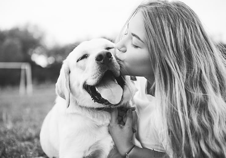 Search & Care Intent pet supplies PPC