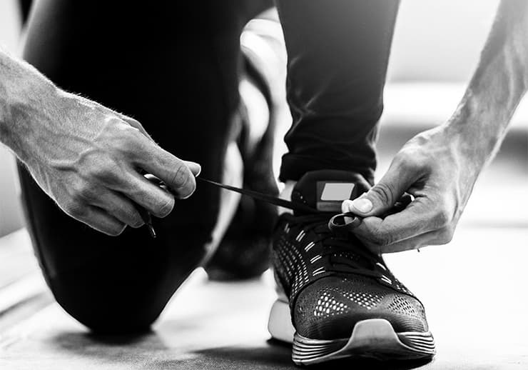 Sports SEO campaign