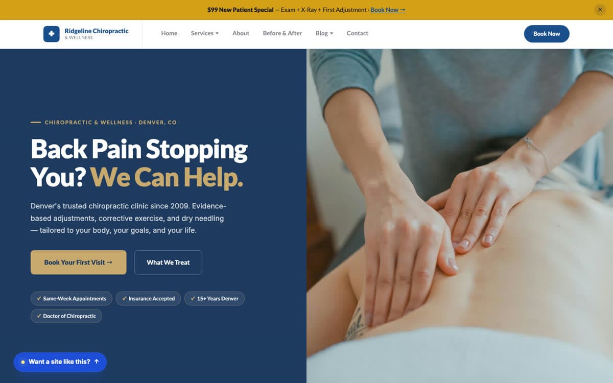 Chiropractors website demo built on WorkspaceCMS.ai