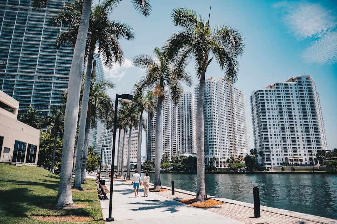 Top 10 Shopify Development Companies in Miami (2026)