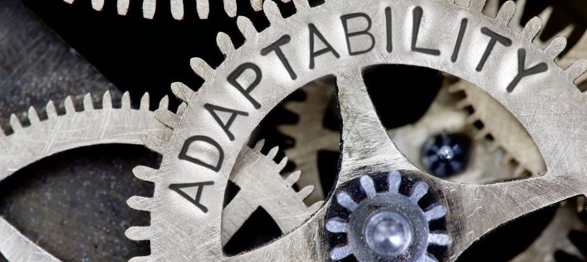Advice from eCommerce Agency Experts: Adaptability is the Key to Success