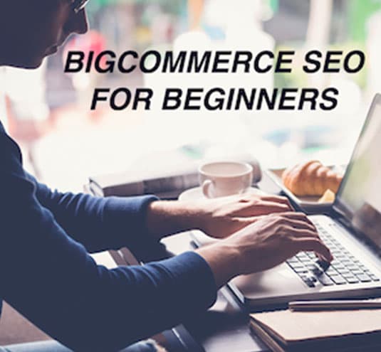 Bigcommerce Search Engine Optimization For Beginners