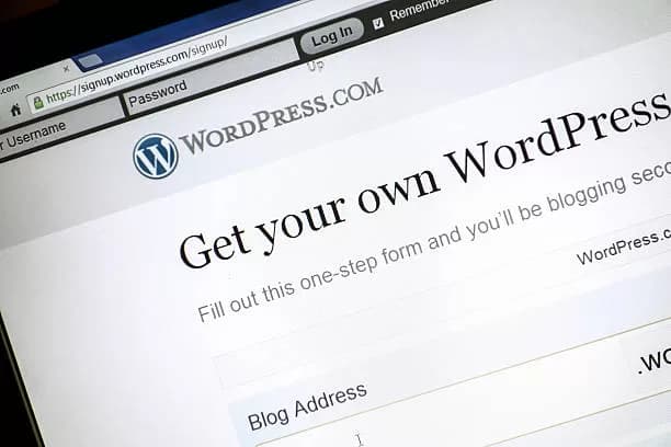 No More Shopping Cart Woes: How is WordPress Good for eCommerce Business?