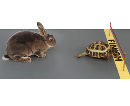 Realistic Seo Expectations