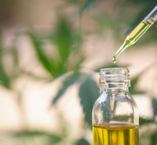 SEO and CBD: How to Have a Successful Marketing Campaign