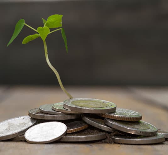Tips for Running a Green eCommerce Store